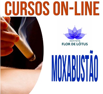 curso