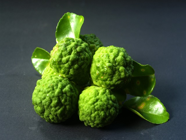 Bergamota