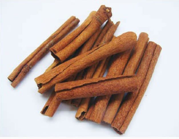 Canela