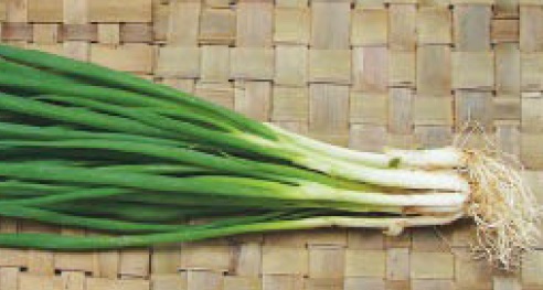 Cebolinha