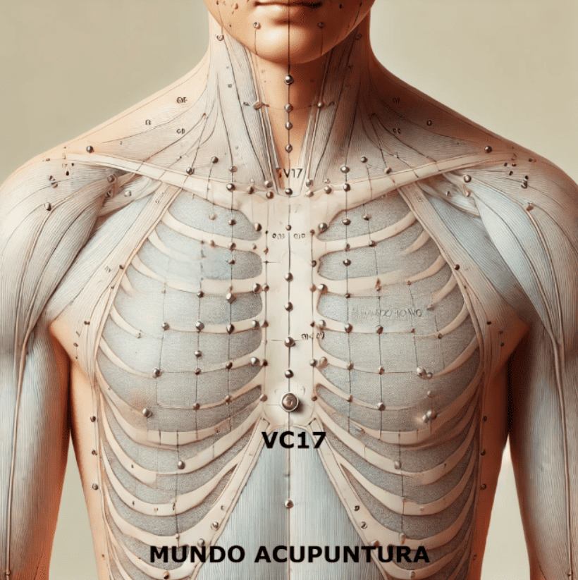 ponto vc 17
